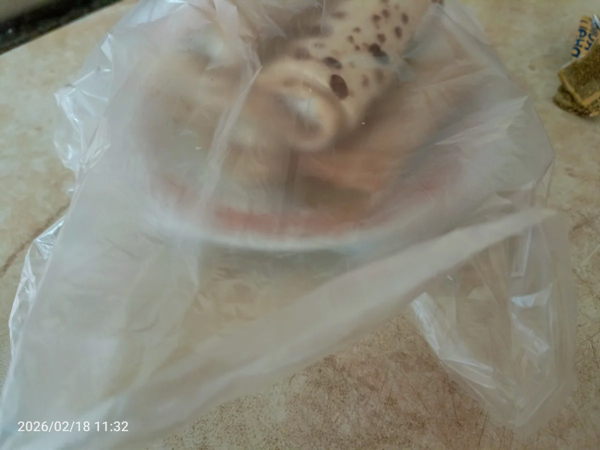 Иллюстрация к инструкции