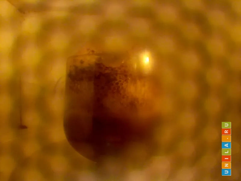 Иллюстрация к инструкции