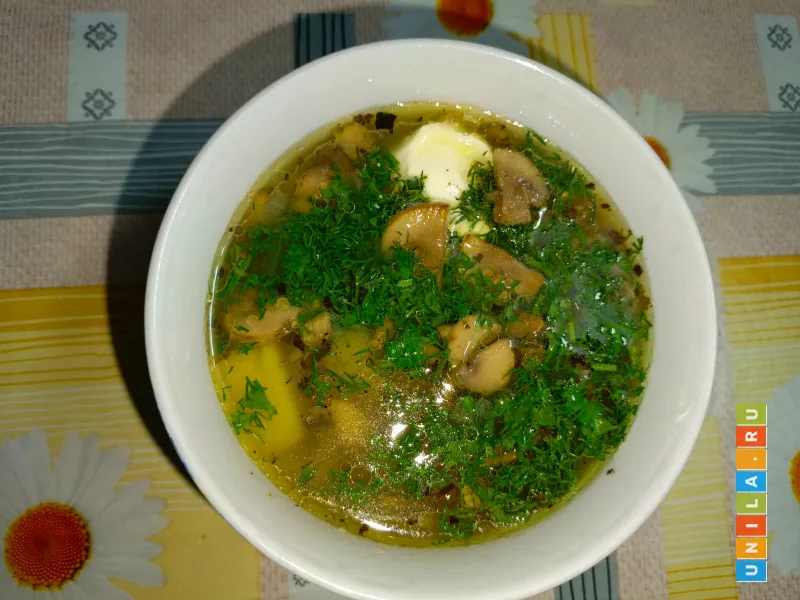 Иллюстрация к инструкции