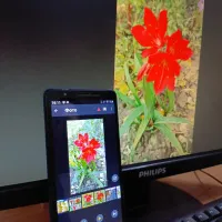Трансляция фото, видео с Android смартфона на компьютер, ТВ. Через WiFi, без общей точки доступа
